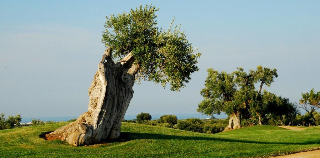 אוסטוני Albergo Masseria Refrigerio מראה חיצוני תמונה