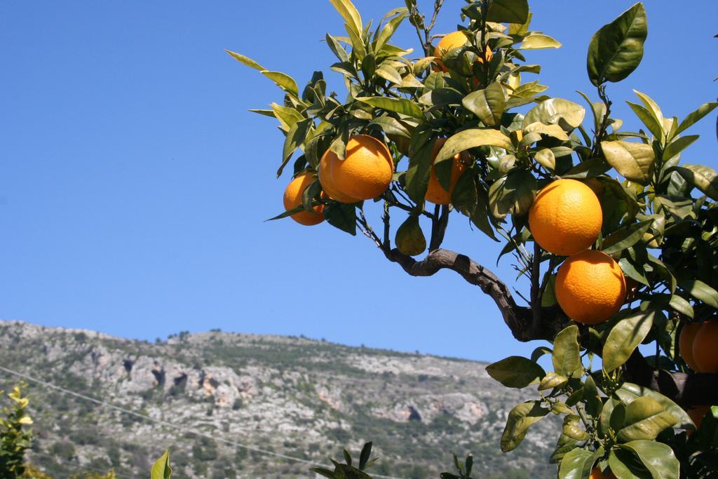אוסטוני Albergo Masseria Refrigerio מראה חיצוני תמונה