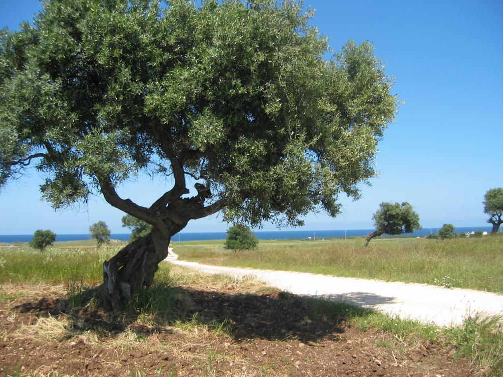 אוסטוני Albergo Masseria Refrigerio מראה חיצוני תמונה